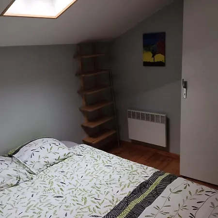 Le Petit St Jacques 公寓 干邑